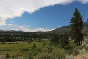 california fields landscape