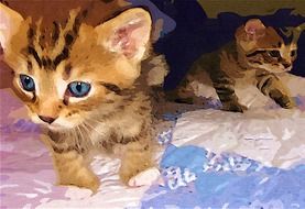 Little kittens on the blanket