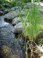 Stream on the magnificent mountains