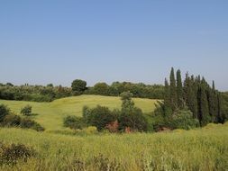 green countryside in greece