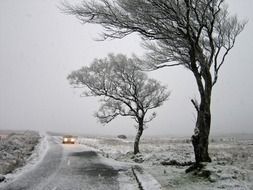 car on the winter road in ireland
