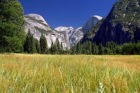 picturesque landscape of yosemite national park