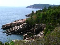 landscape of the national park in Acadia on a sunny day