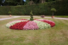beautiful flower bed in a park