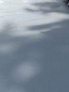 white snow surface in new zealand