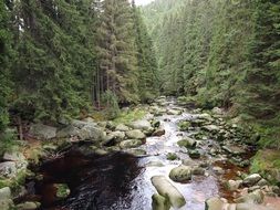 stream among rocks and forests in the Czech Republic