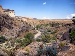 Landscape of desert in California