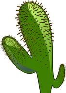drawing of a green spiny cactus