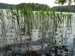 lakeside lake