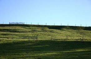 empty green pasture on a summer day