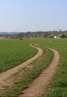 Picture of the meadow