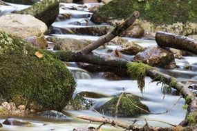 brook with stones in a forest