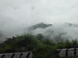 very beautiful fog meadow