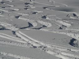 traces of skis in deep snow