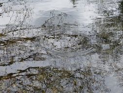 reflecting water pond