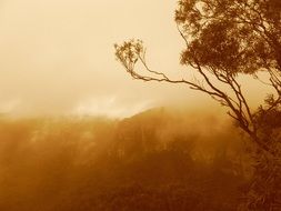 Beautiful and colorful mountains in clouds in a morning