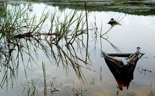 old boat sunken in the lake