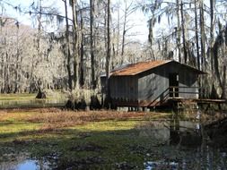 bayou swamp boathouse shack rural