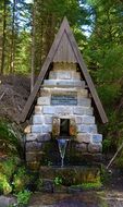 The source of the water in spring