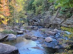 wide stream at scenic rock in forest, usa, georgia, tallulah gorge state park