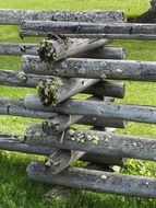 wooden fence covered with moss