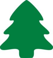 Green spruce on a white background