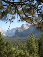 Beautiful green mountains and coniferous forests at Yosemite National Park on landscape