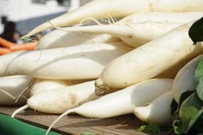 white radishes vegetables