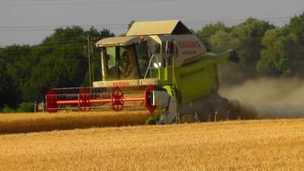combine harvester on the agricultural field with trees at background