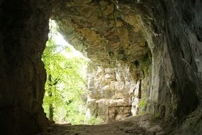 Cave and green trees