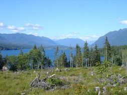 lake quinault in olympic national park