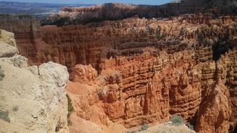 Landscape of wilderness in bryce canyon