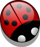 drawing of a ladybug insect