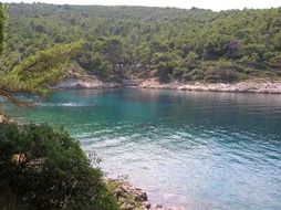 picturesque nature on the island of Losinj, Croatia