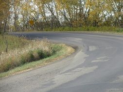 Bend asphalt road near the green trees