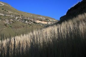 landscape of dry grass on the Drakensberg mountain