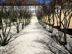 avenue park gravel paths