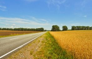 field harvest landscape