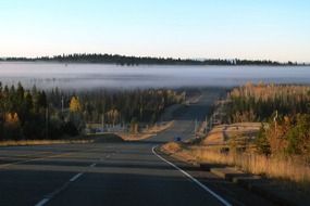 fog bank in a morning, british columbia, canada