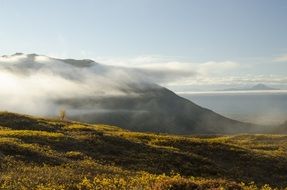 morning fog in the mountains