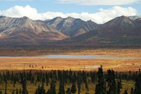 pond in the wilderness in Alaska