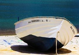 white boat on coast