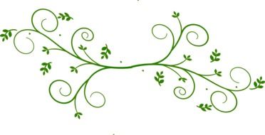 painted green climbing plant on a white background
