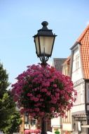 street lamp with beautiful flowers