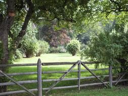 Wooden fence under the green trees