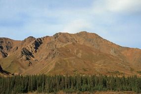 mountain forest alaska