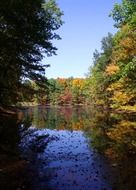 panorama of autumn trees on the shore of the pond