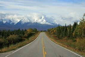 marked highway along forests in Alaska