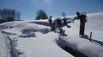 snowy landscape on a sunny day