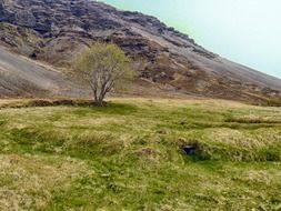 mountain landscape in iceland